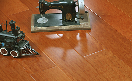 地?zé)?番龍眼.png 地?zé)?番龍眼.png