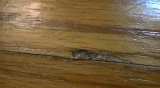 地板修復(fù)1.png 地板修復(fù)1.png