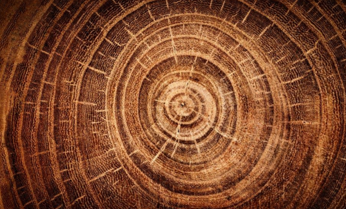 木頭1.png 木頭1.png