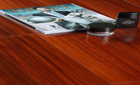 圓盤(pán)豆6.png 圓盤(pán)豆6.png