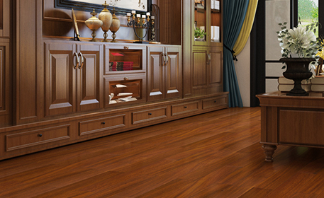 圓盤(pán)豆9.png 圓盤(pán)豆9.png