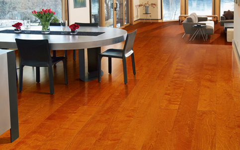 樺木5.png 樺木5.png