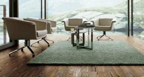 白蠟木1.png 白蠟木1.png