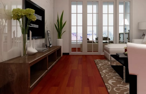 番龍眼6251-1.png 番龍眼6251-1.png