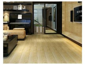 地?zé)釋?shí)木1.jpg 地?zé)釋?shí)木1.jpg