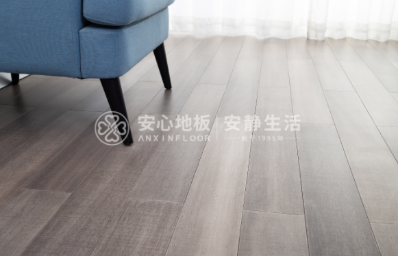 圓盤豆1.png 圓盤豆1.png